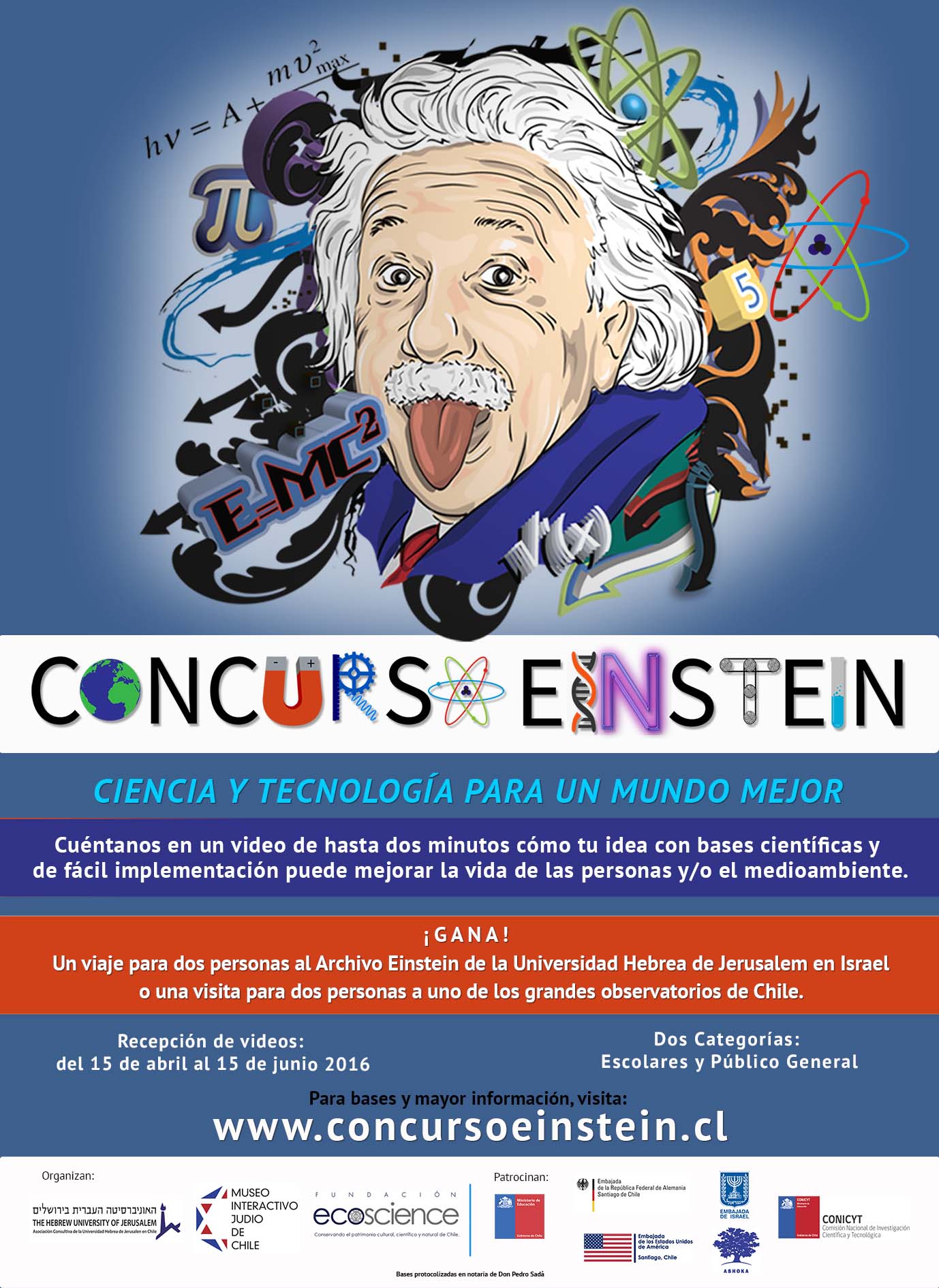 einsten afiche
